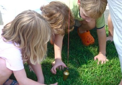 Future Surveyors?